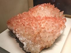 -天津自然博物馆