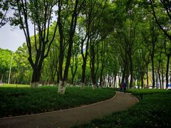 -重庆市江北嘴中央商务区中央公园