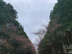 -北海道神宫