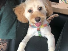 -骐奇宠物诊疗中心(南亭公路店)