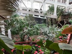 -正佳雨林生态植物园
