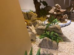 -二分八云雁阁•新晋菜大同味(长治路店)