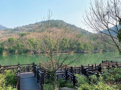 -白马涧龙池景区