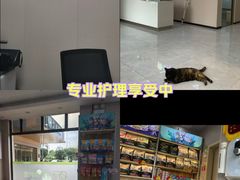-瑞鹏宠物医院·猫科·宠保定点(梅溪湖分院)