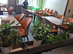 -松沪名灶·豆浆鱼头·新上海菜(江川路交大店)