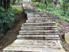 -天鹿湖森林公园