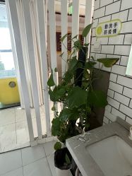-RAGA皮肤管理中心·美体养生SPA