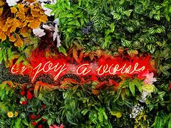 -Poke lemon海鲜波奇饭·柠檬茶(金碧开放小区店)