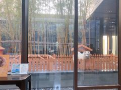 -上海崇明金茂凯悦酒店