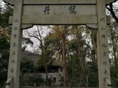 -龙井村