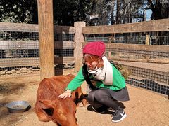 -费瑟代尔野生动物园