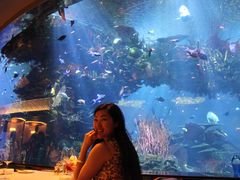 景观位-迪拜帆船酒店海底餐厅