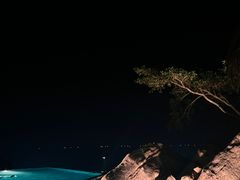 -三亚亚龙湾人间天堂鸟巢度假村