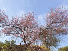 -石潭村