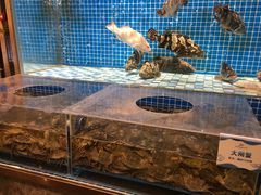 大闸蟹-蓝钻·国际美食海鲜自助百汇(西直门店)