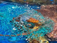 -盒马鲜生(首义店)