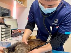 -美联众合动物医院·24h京西诊疗中心