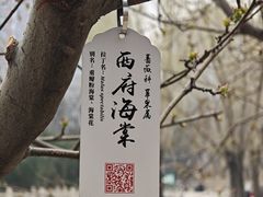 -元大都城垣遗址公园