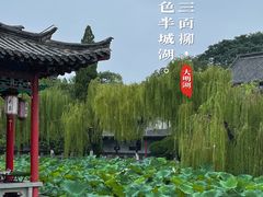 -济南大明湖景区
