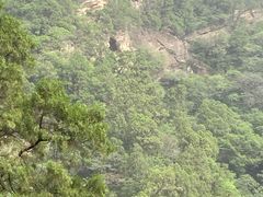 -北京上方山国家森林公园