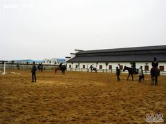 -松声马术俱乐部