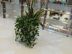 -光启城时尚购物中心