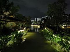 -湘湖金融镇