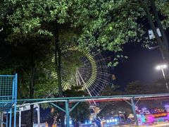 -飞来湖湿地公园