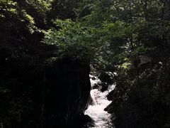 -大奇山国家森林公园