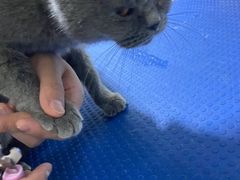 -佳雯宠物医院(金华南路分院)