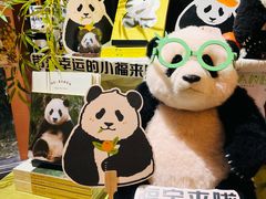 -轩客会(熊猫书店)