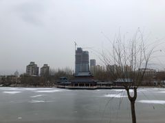 -雁滩公园