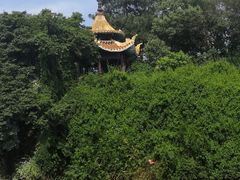 -团城山公园