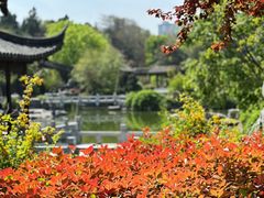 -花洲书院
