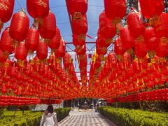 -大槐树寻根祭祖园