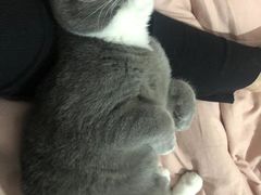 -佳雯宠物医院·皮肤科·内外科(春晓路分院)