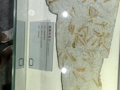 -中国第四纪冰川遗迹陈列馆