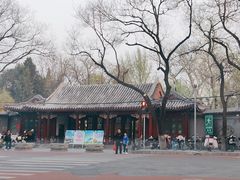 -宣武艺园
