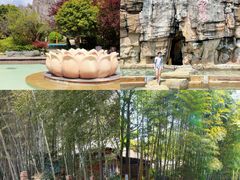 -洪湖悦兮半岛国际温泉度假村