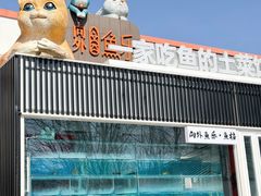-向外鱼乐·土菜·虹鳟鱼