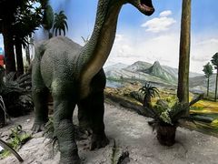 -国家自然博物馆