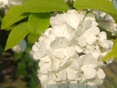 -白塘生态植物园