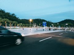 -野狸岛
