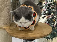 -威高广场