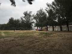 -玫瑰海岸文化旅游度假区