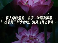 -四川大学(望江校区)