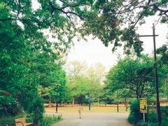 -三鹰之森吉卜力美术馆