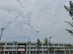 -空港花田景区
