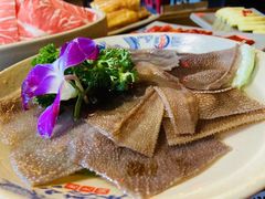 -小龙坎老火锅(泾县喜来登店)