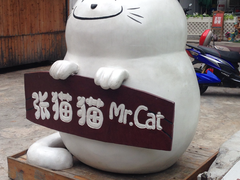 -张猫猫爱吃鱼